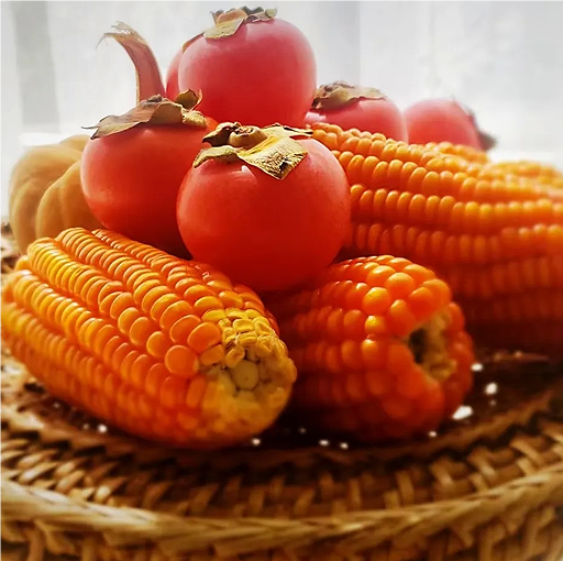 QQ20240725-094128 QQ20240725-094128