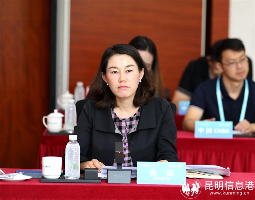 中國云南省投資控股集團有限公司副總裁張郁。云南交投集團供圖