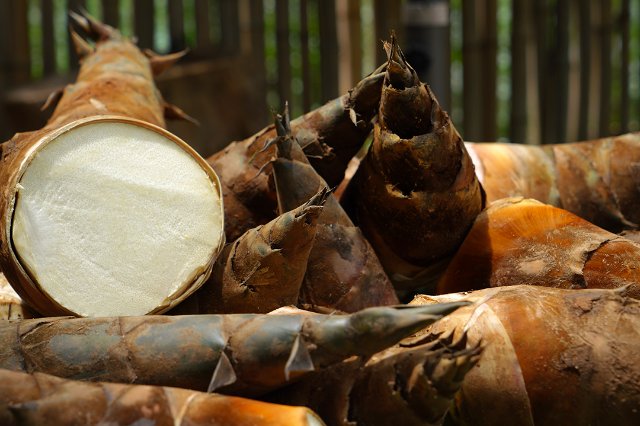 新鮮甜筍 2024年7月23日 羅寧姣攝.jpg