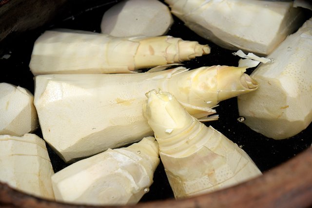 洗甜筍 2024年7月23日 趙媛蕊攝(1).jpg