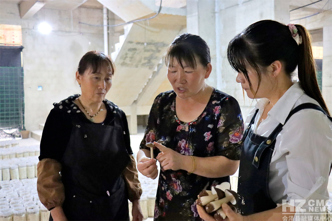 04ADF47725C8497E9F537E01F9909E01