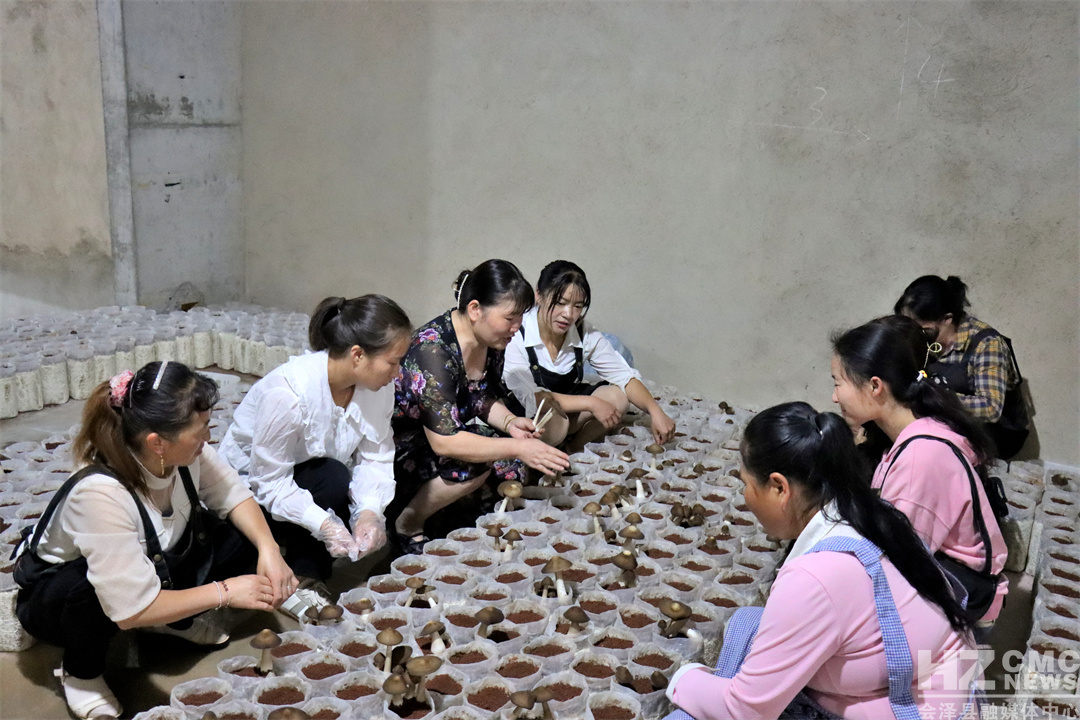 935A0E213B6B46CB873E6ADA3DED8D7E