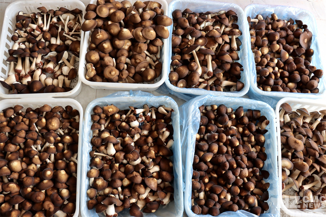 E13837056CCF44B29C5E609470757BB8