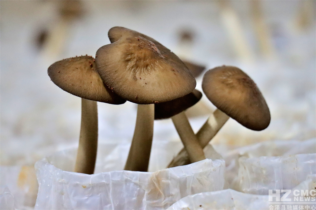 7DC1B79C2AC0445DB886727DB35ADAF9