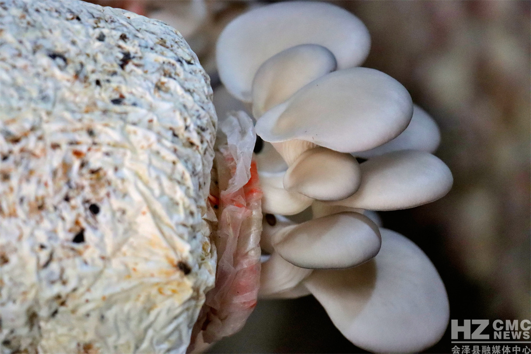 E83DA0DFDF1A476582FCC0174D7F030E