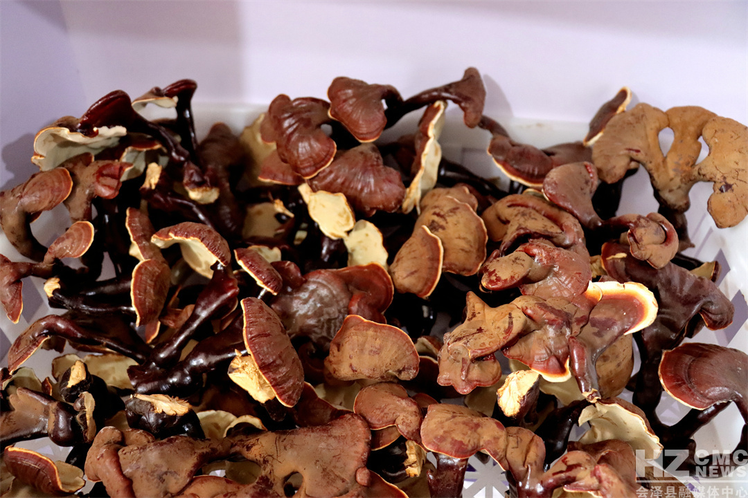 1DD6FEE531BE40868A539AA69B8BB32D