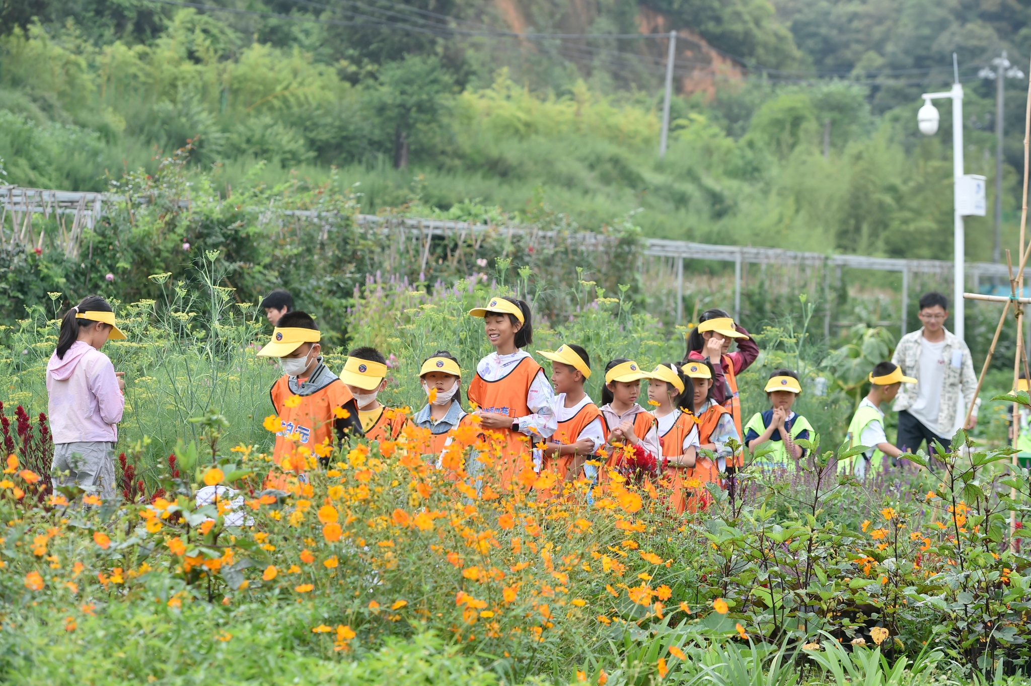 微信圖片_20240730231043