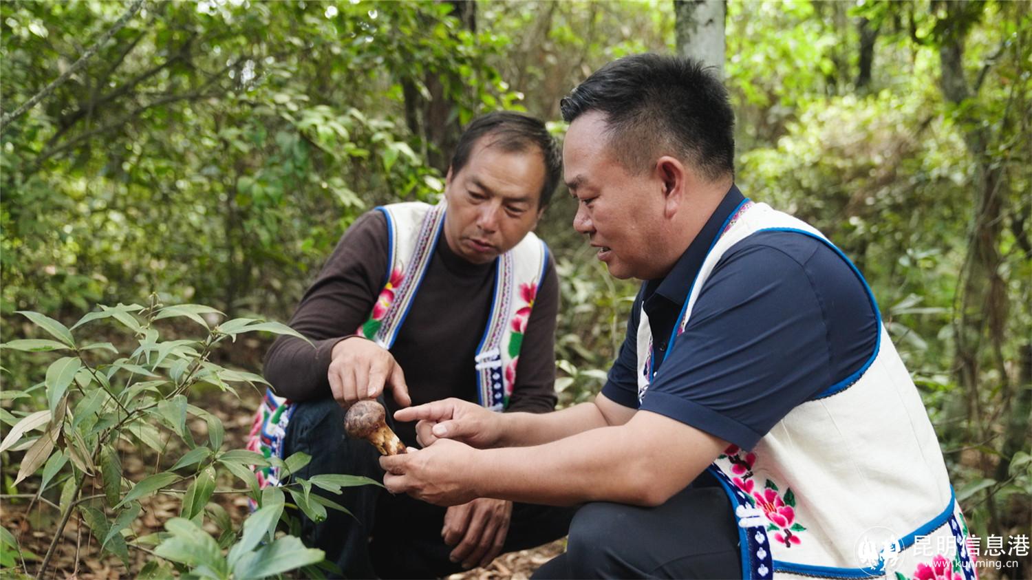 微信圖片_20240730171754 微信圖片_20240730171754