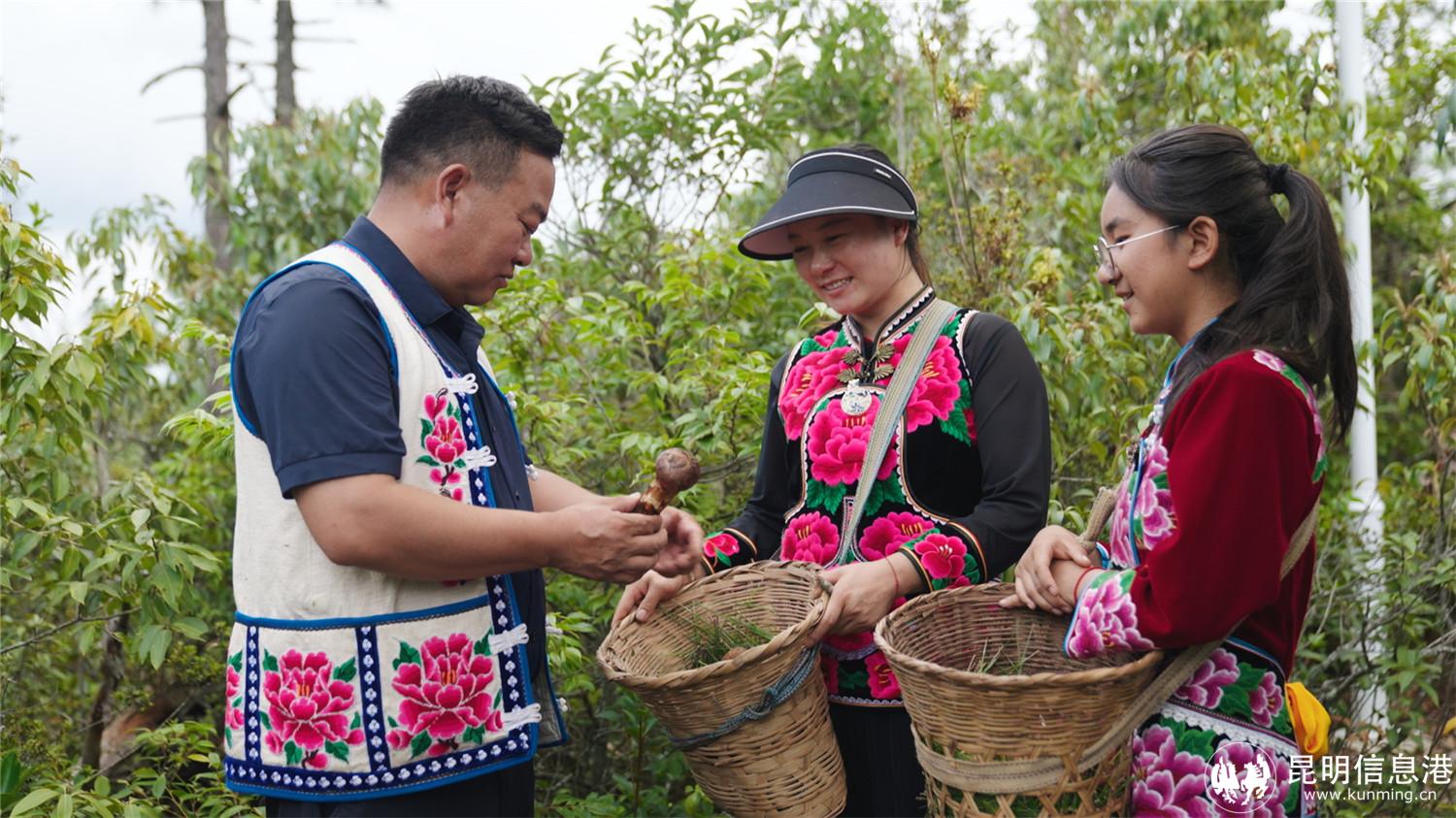 微信圖片_20240730172325 微信圖片_20240730172325