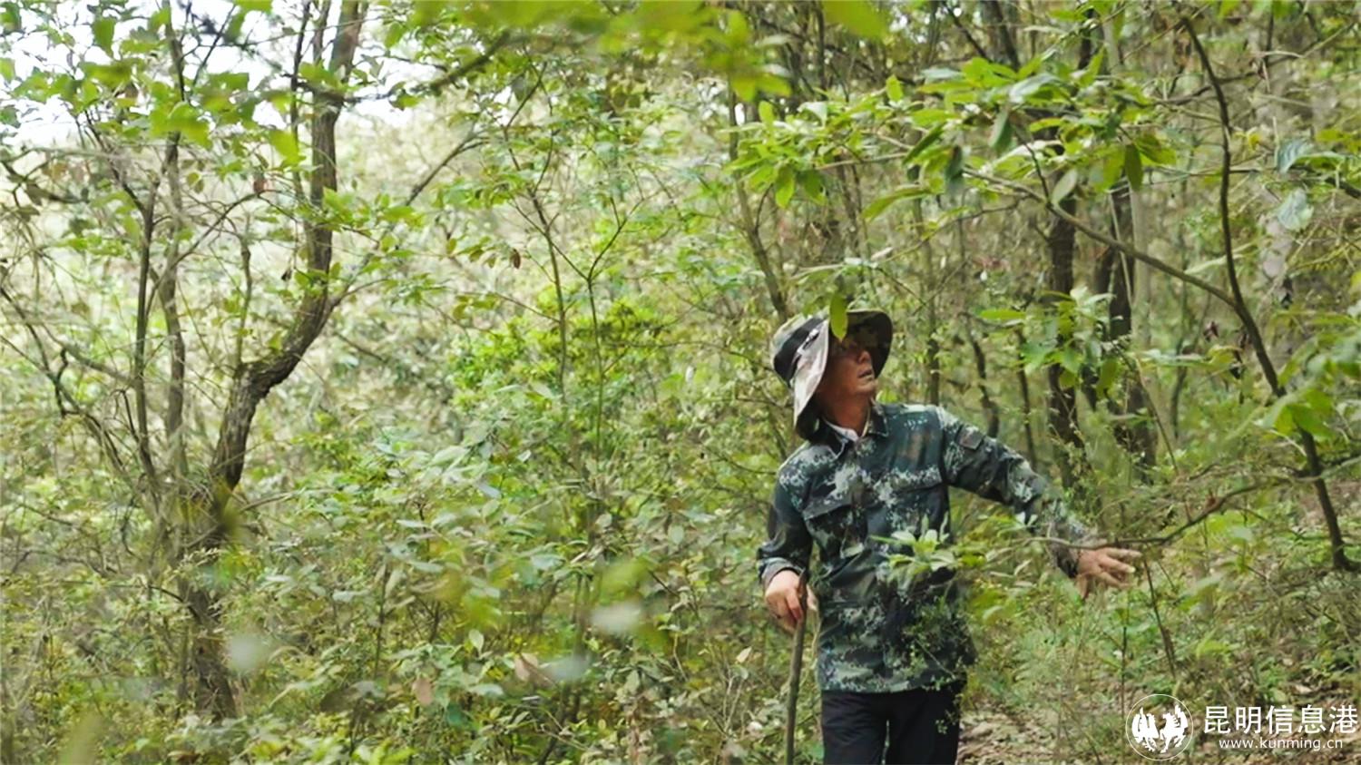 微信圖片_20240730171721 微信圖片_20240730171721