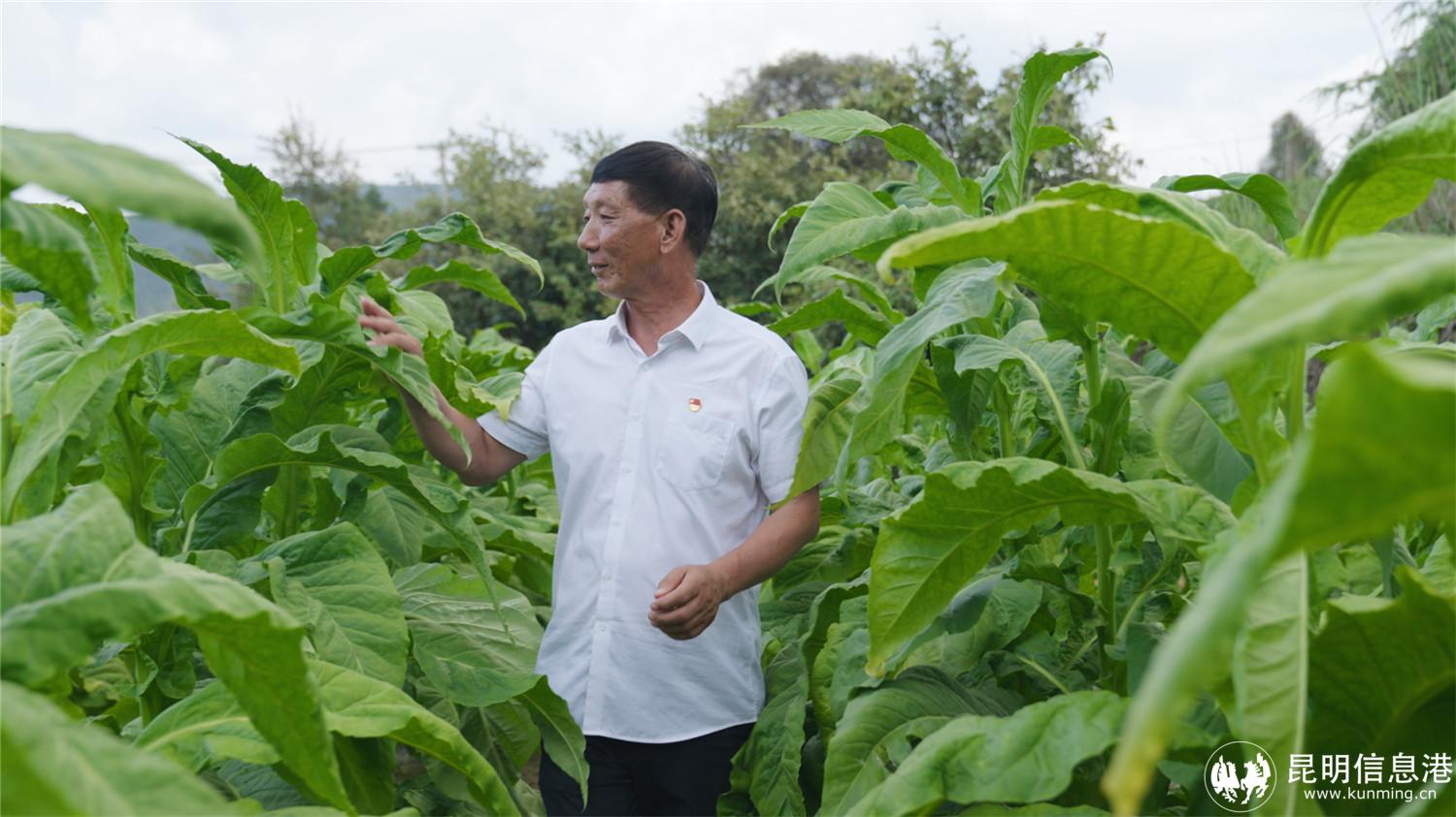 微信圖片_20240730171806 微信圖片_20240730171806