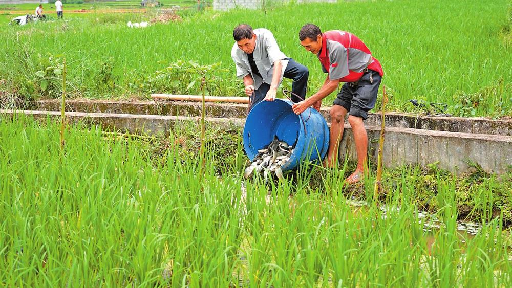 d5956f8c-f0d0-43e0-a45a-c29f1d0134a5