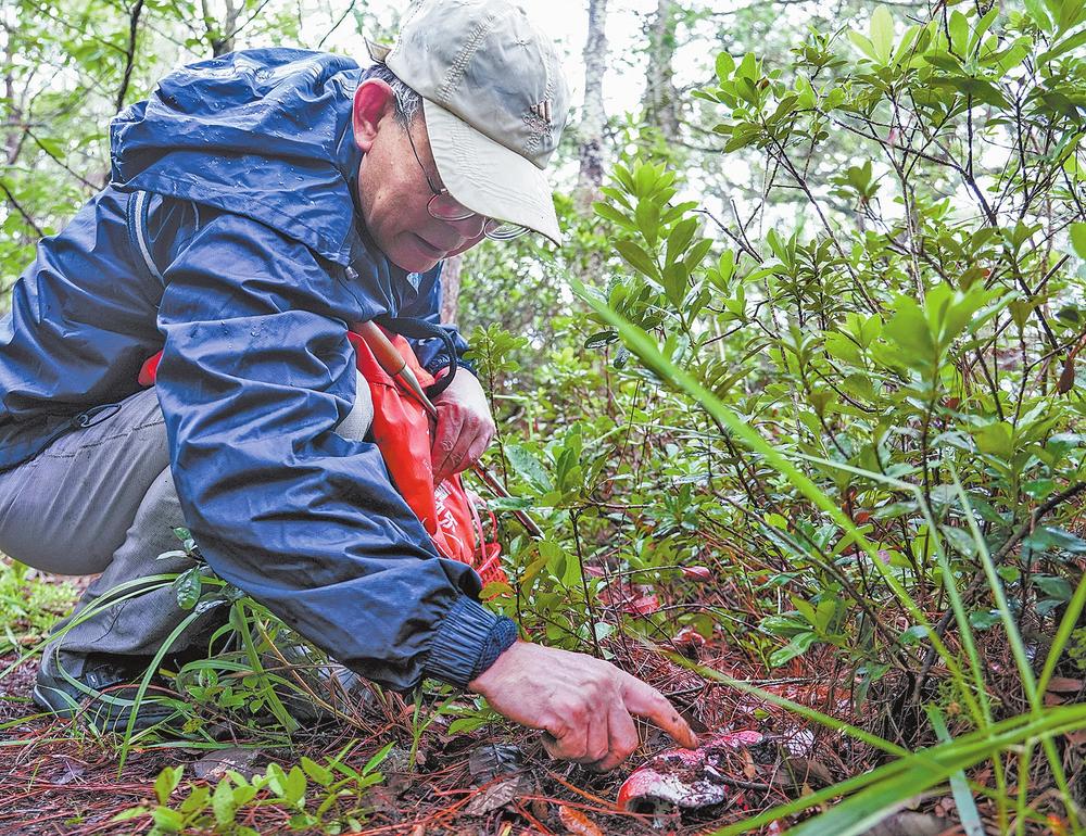 05fed2c2-2f72-41df-999a-0561a33b0fac 05fed2c2-2f72-41df-999a-0561a33b0fac