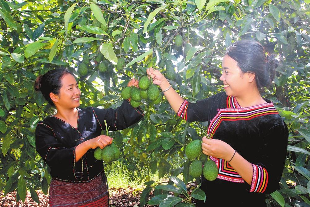 a63bd919-9c90-48b0-b544-e4aa70f4937e a63bd919-9c90-48b0-b544-e4aa70f4937e