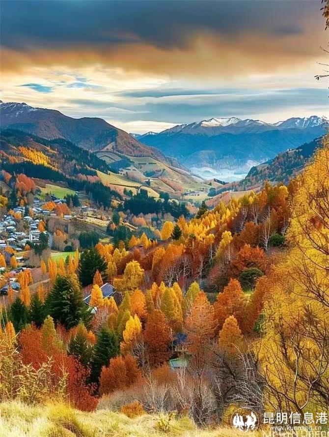 微信圖片_20240814091921