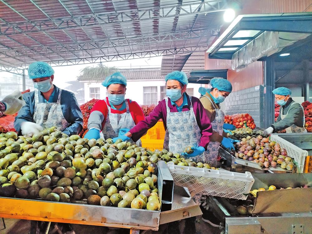 56cfa332-6efc-4dcd-aeed-a39da8a768f5 56cfa332-6efc-4dcd-aeed-a39da8a768f5