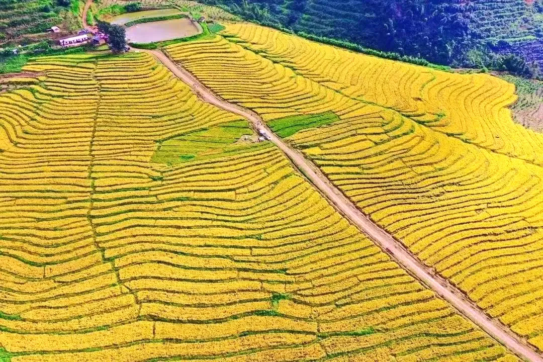 1723691707328776.png 1.webp.png