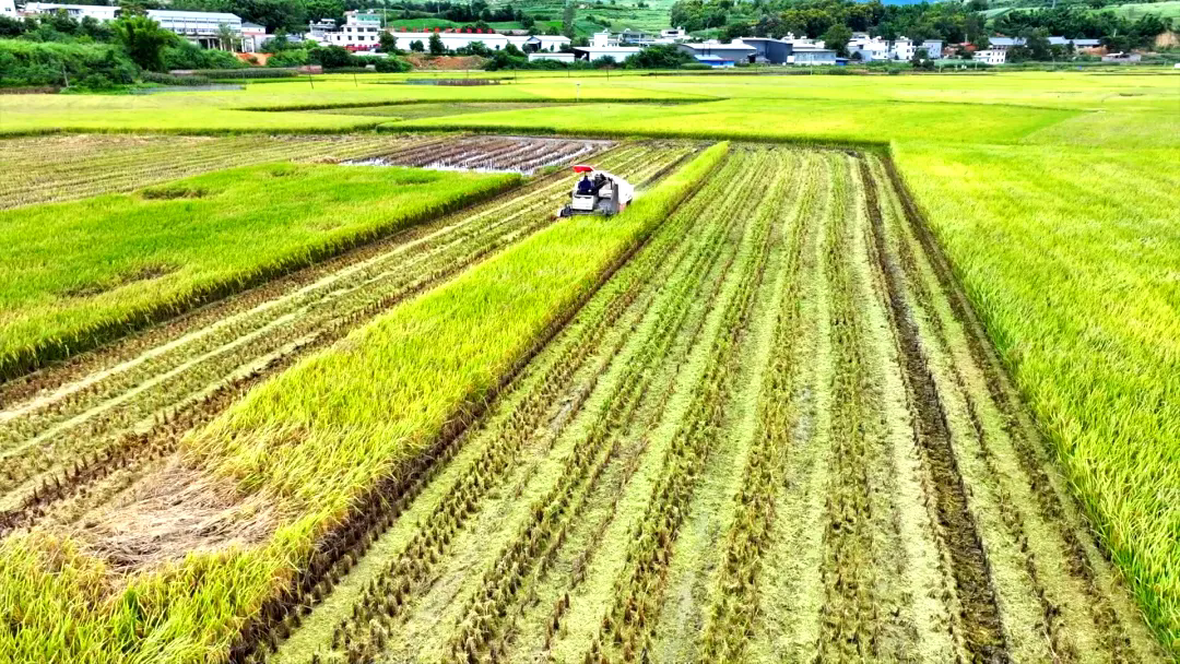 1723691747740987.png 2.webp.png