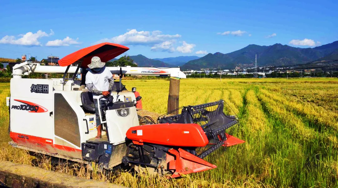 1723691795511307.png 4.webp.png