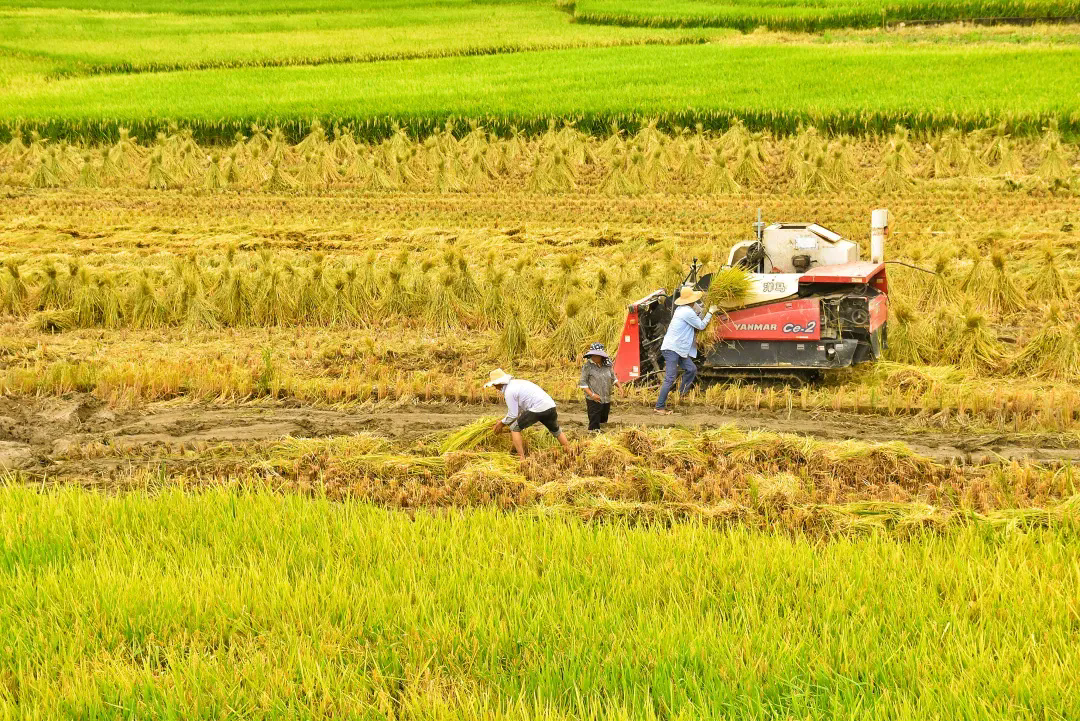 1723691849165268.png 5.webp.png