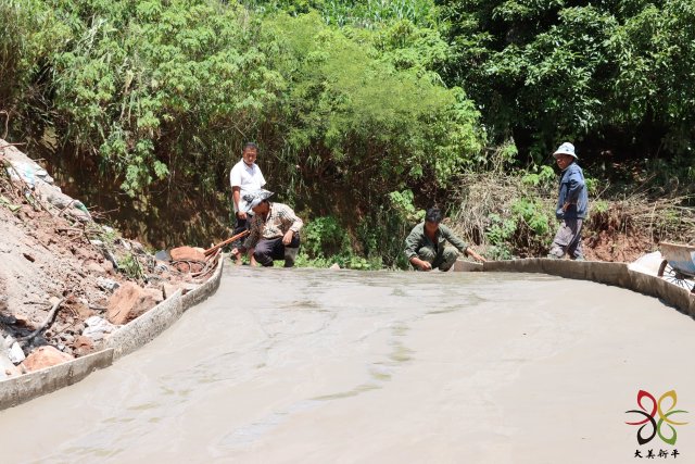 平甸:群策群力 齊心鋪就“幸福路”