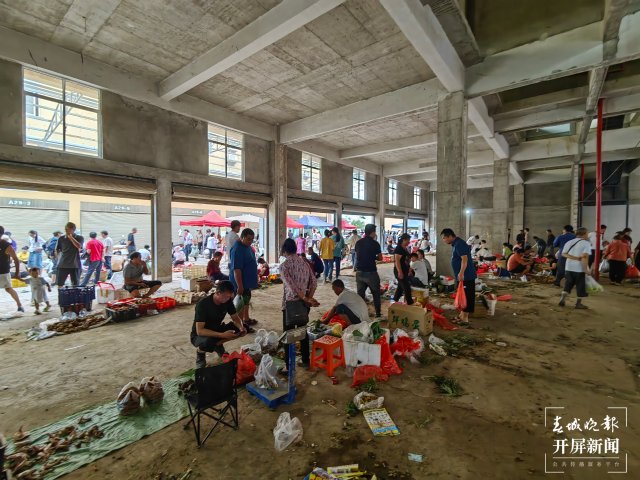 （采訪傳編輯）美好生活在云南 走，趕菌子Gai克?。ㄓ幸曨l） (17).jpg