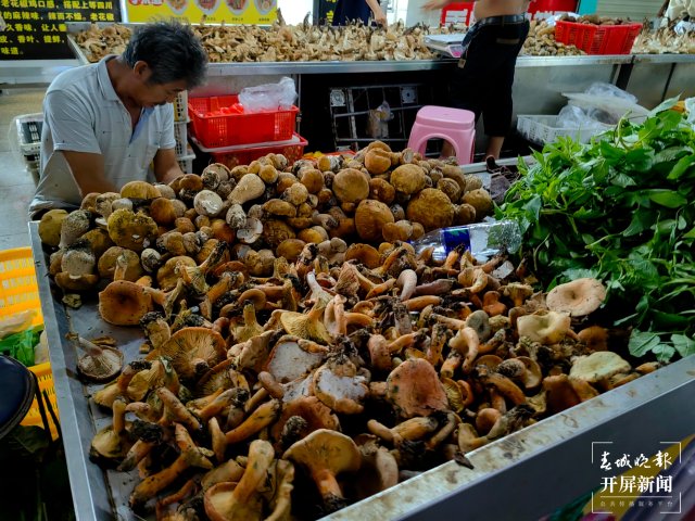 （采訪傳編輯）美好生活在云南 走，趕菌子Gai克?。ㄓ幸曨l） (15).jpg