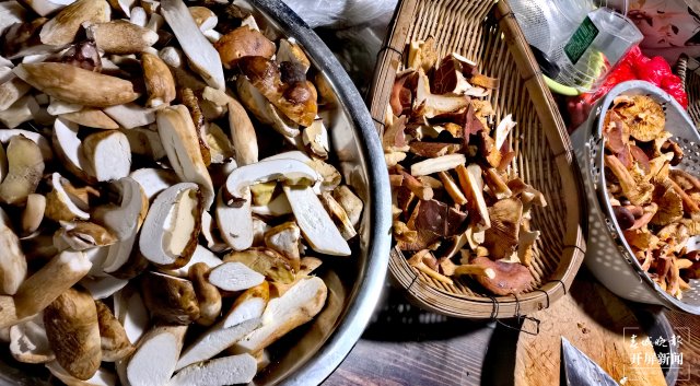 （采訪傳編輯）美好生活在云南 走，趕菌子Gai克?。ㄓ幸曨l） (36).jpg