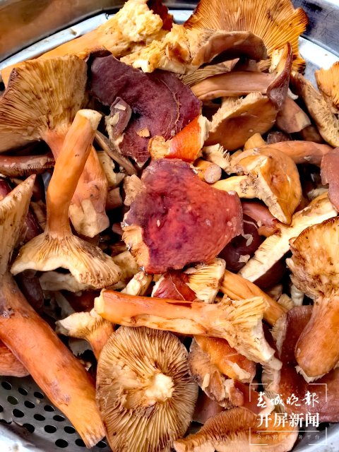 （采訪傳編輯）美好生活在云南 走，趕菌子Gai克?。ㄓ幸曨l） (28).jpg