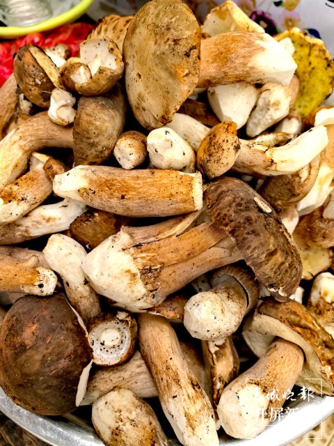 （采訪傳編輯）美好生活在云南 走，趕菌子Gai克?。ㄓ幸曨l） (27).jpg