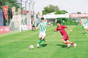 65101724520668247 65101724520668247