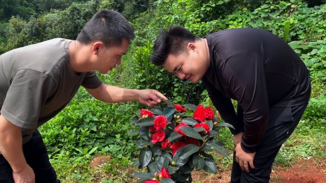 云南寧洱發(fā)現(xiàn)罕見(jiàn)紅色眼斑螳螂