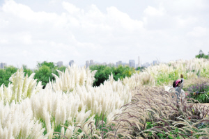 14771725212637134 14771725212637134