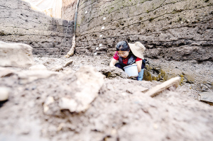 97101726594560851 97101726594560851