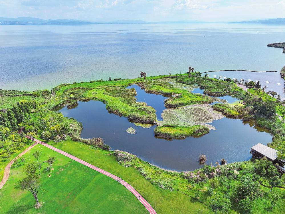 寶豐濕地本報(bào)記者 王毅 攝 寶豐濕地本報(bào)記者 王毅 攝