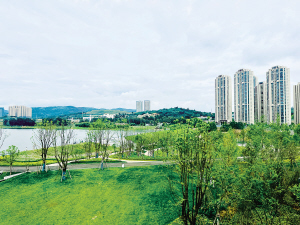 41691726682241658 41691726682241658