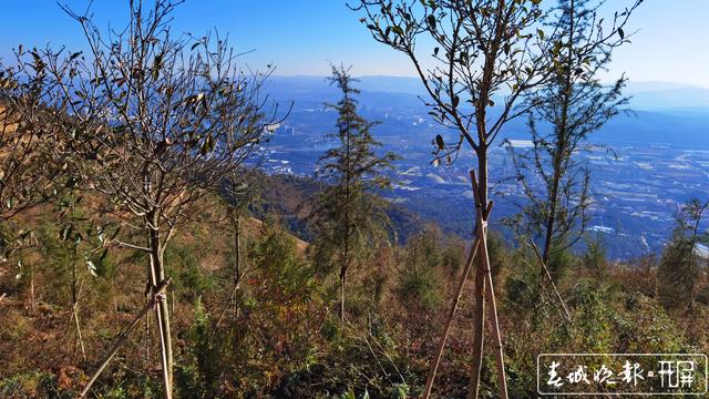 昆明美麗公路綠化取得好成績 (2)_副本.jpg