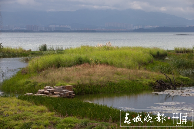 扶荔宮和寶豐濕地即將對公眾開放（高偉 攝）