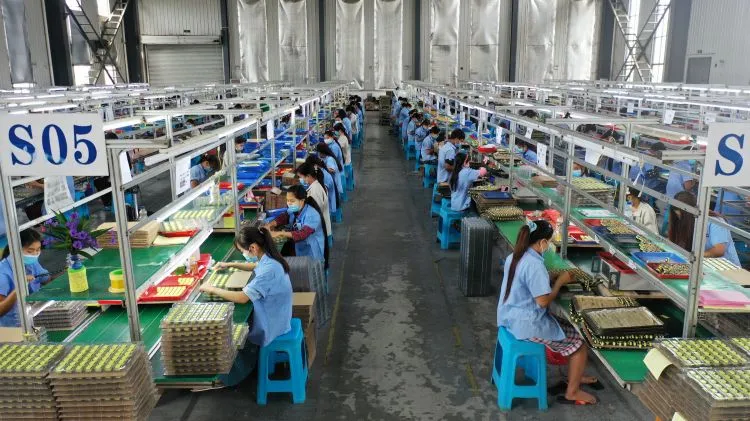 1729046126713 1729046126713