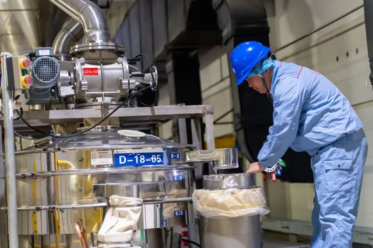 1729046266245 1729046266245