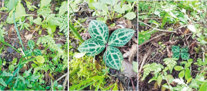 83871729188889019 83871729188889019