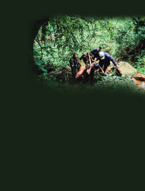 25951729445886831 25951729445886831