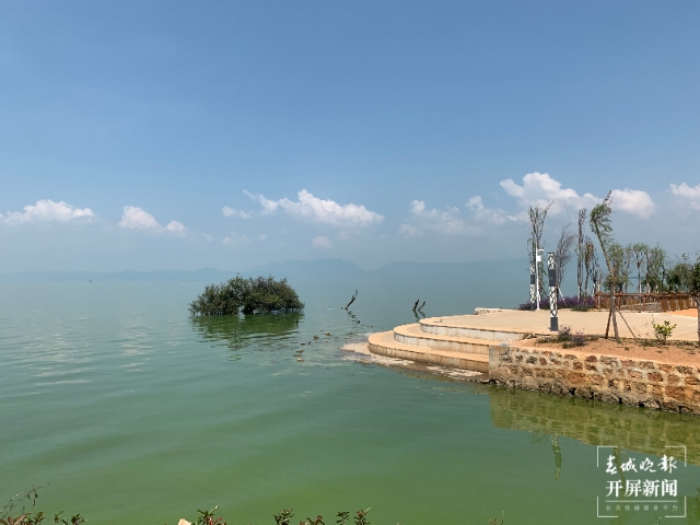 斗南濕地治理 春城晚報(bào)-開屏新聞?dòng)浾?閔楠 攝影報(bào)道