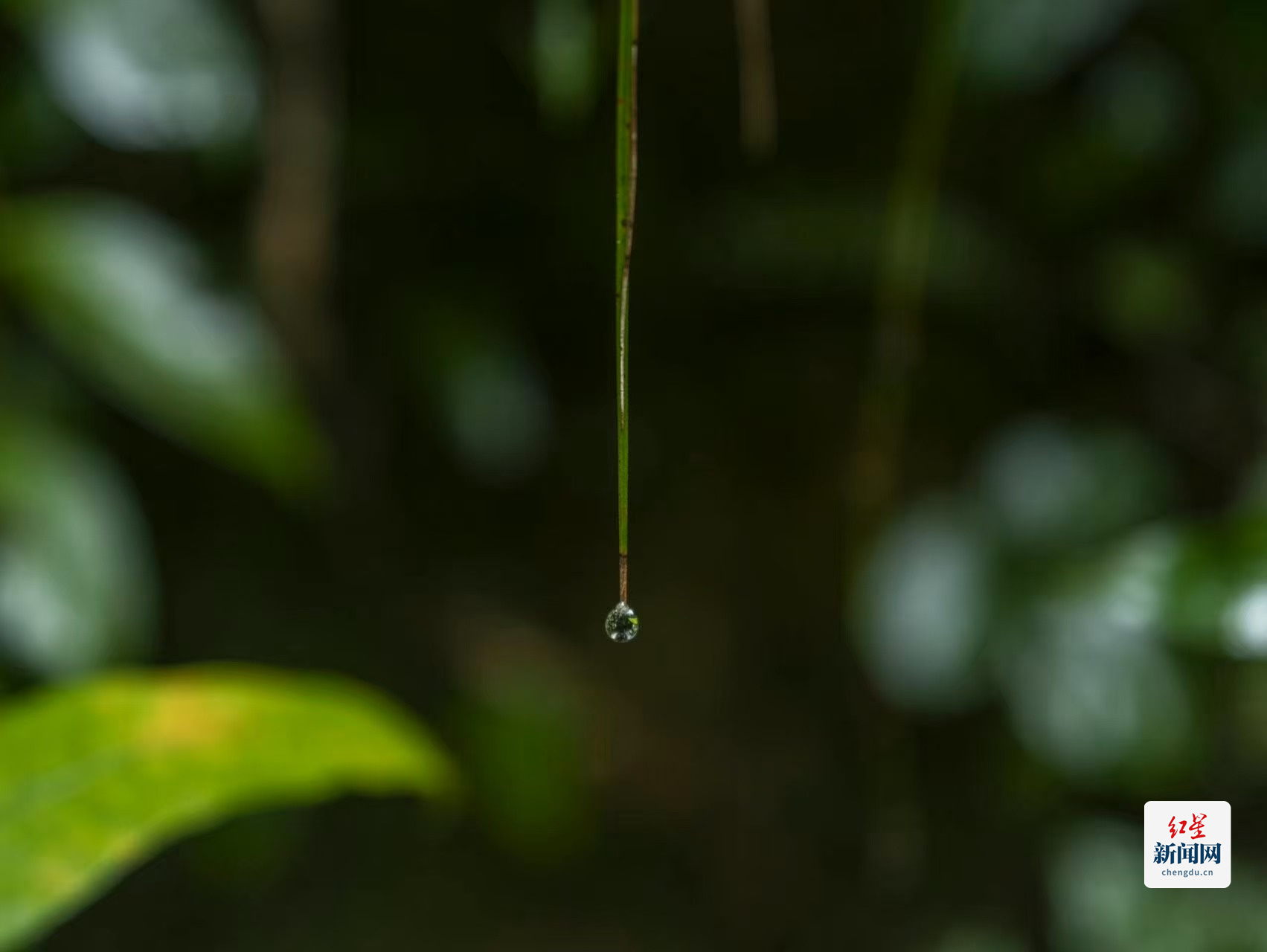 攝影：趙鋼 (11)