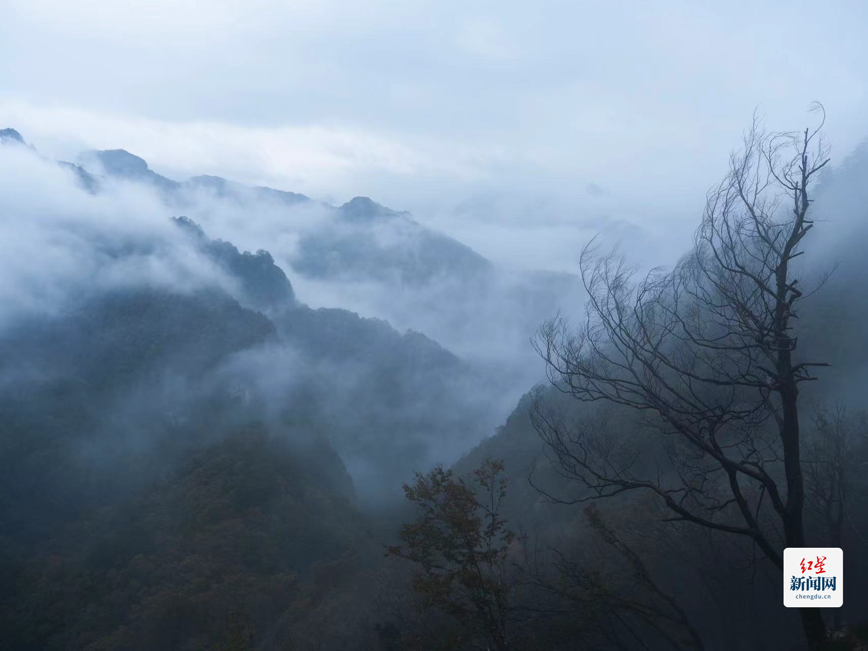 攝影：趙鋼 (15)