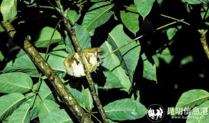 62951730234187931 62951730234187931