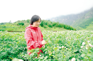 22191730656140047 22191730656140047