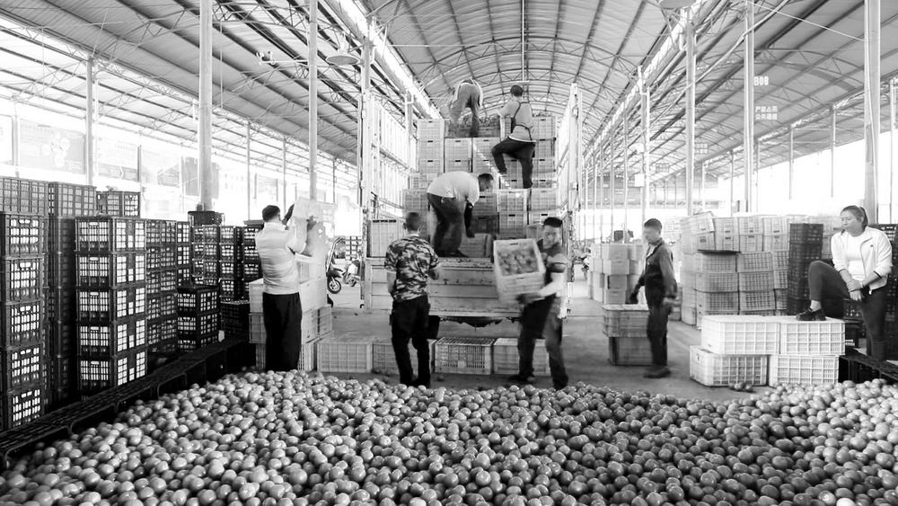 7b797983-e6f2-49fa-b299-ea8e57436ef8