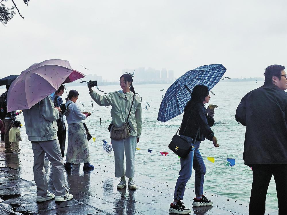 43ef0dde-45fe-4fd5-afdc-b60da3dc8a7c 43ef0dde-45fe-4fd5-afdc-b60da3dc8a7c