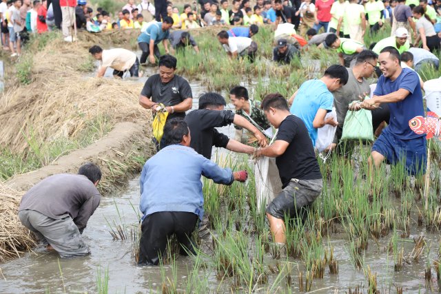 摸魚比賽 (3).JPG